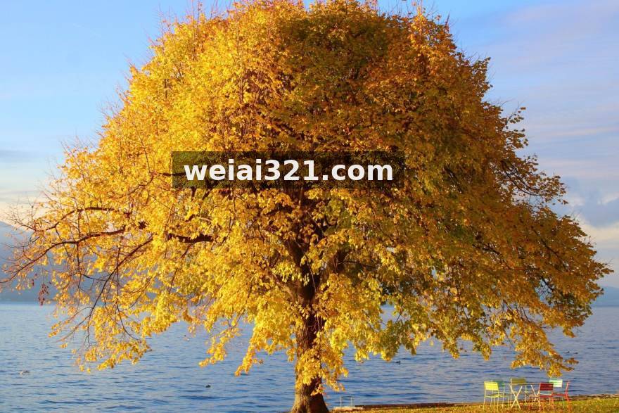 为什么你的报表总在返工？从需求澄清到交付验收的六步流程